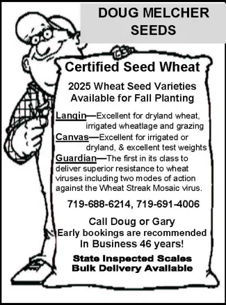 Advertisement for wheat seed for sale