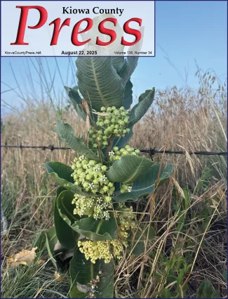 Photo of the week from the August 22, 2025, edition of the Kiowa County Press in Eads, Colorado - Broadleaf milkweed in bloom in Kiowa County, Colorado - Chris Sorensen. Photo of the week from the August 22, 2025, edition of the Kiowa County Press in Eads, Colorado - Broadleaf milkweed in bloom in Kiowa County, Colorado - Chris Sorensen.