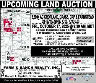 Advertisement for a land auction in Cheyenne County Advertisement for a land auction in Cheyenne County
