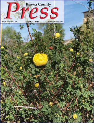 Photo of the week from the April 24, 2026, edition of the Kiowa County Press in Eads, Colorado - Roses near Eads Town Hall - Jeanne Sorensen