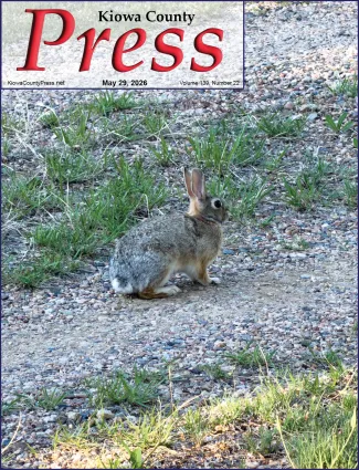 Photo of the week from the May 29, 2026, edition of the Kiowa County Press in Eads, Colorado - Desert Cottontail rabbit. - Chris Sorensen.