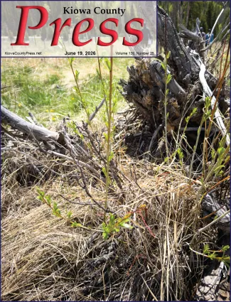 Photo of the week from the June 19, 2026, edition of the Kiowa County Press in Eads, Colorado - A “zombie willow” in Rocky Mountain National Park showing signs of recovery from overgrazing by elk and moose. - Chris Sorensen.
