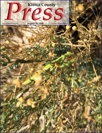 Photo of the week from the August 28, 2026, edition of the Kiowa County Press in Eads, Colorado - Mantis looking for its next meal among flax stems - Chris Sorensen.