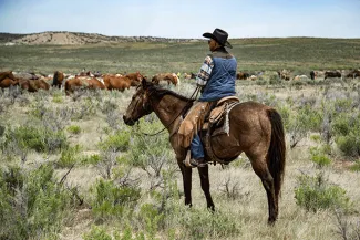 PROMO 64S Agriculture - Horse Cattle Prairie Rancher - iStock - WestwindPhoto