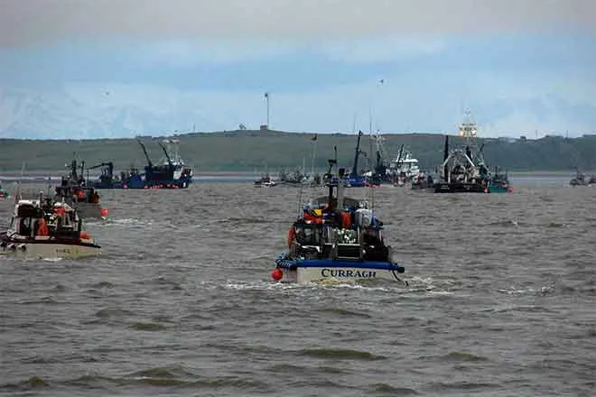 PICT Bristol Bay fishery in Alaska - Emma Forsberg, FlickrCC