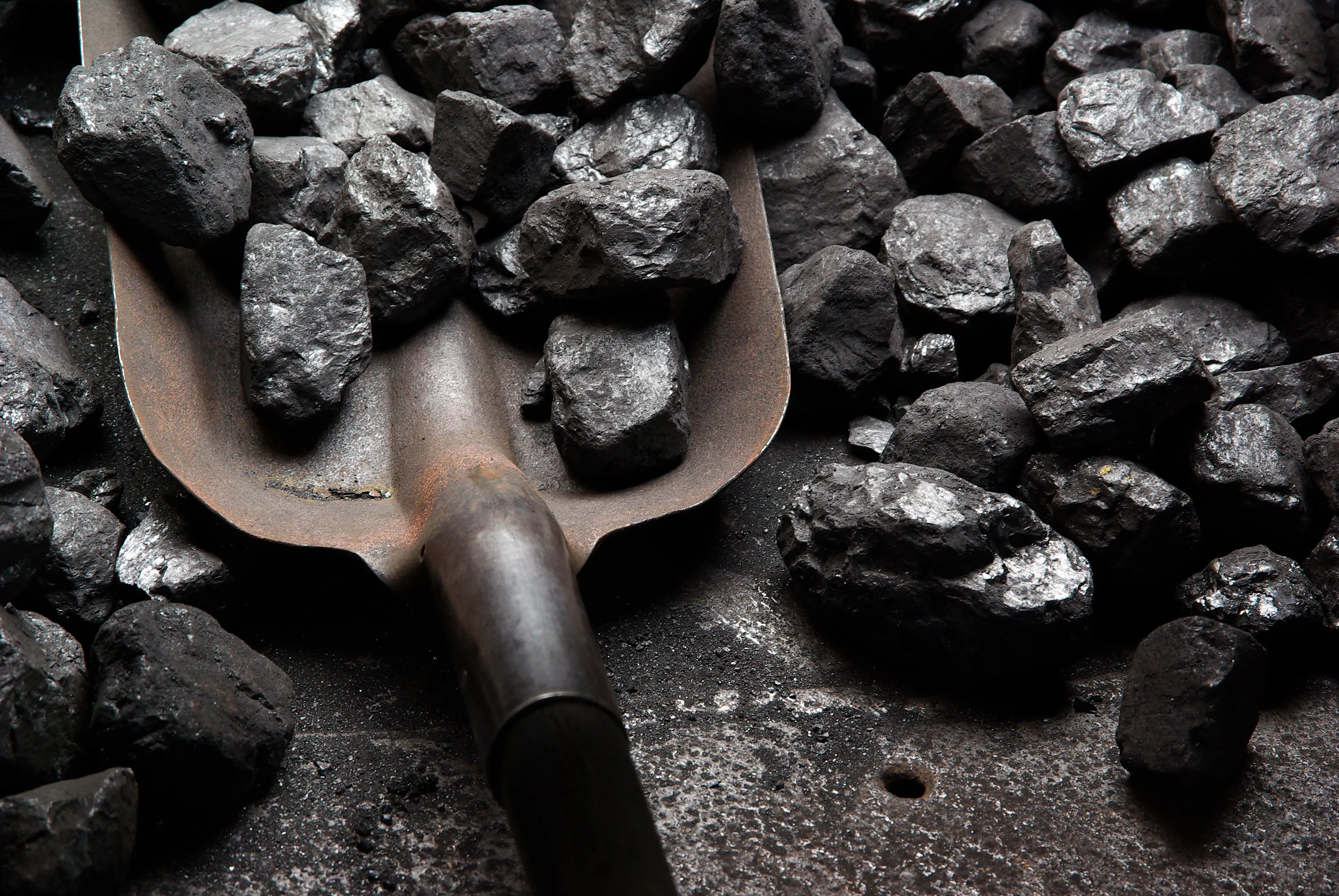 Shovel containing and surrounded by pieces of coal