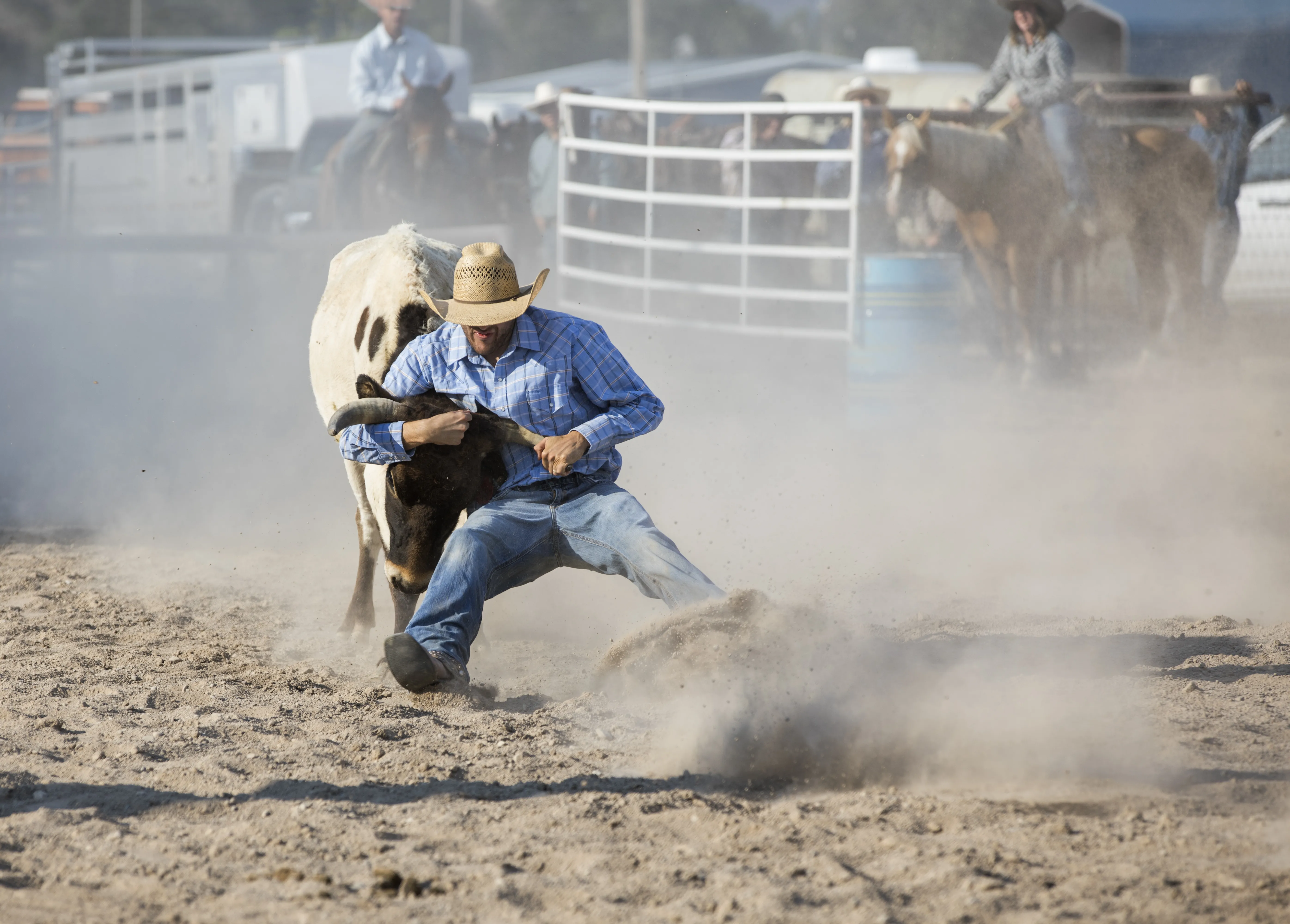 Cowboy wrestling a steer in an arena