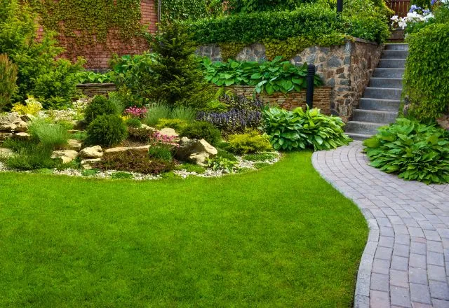 How to design flower beds for your garden