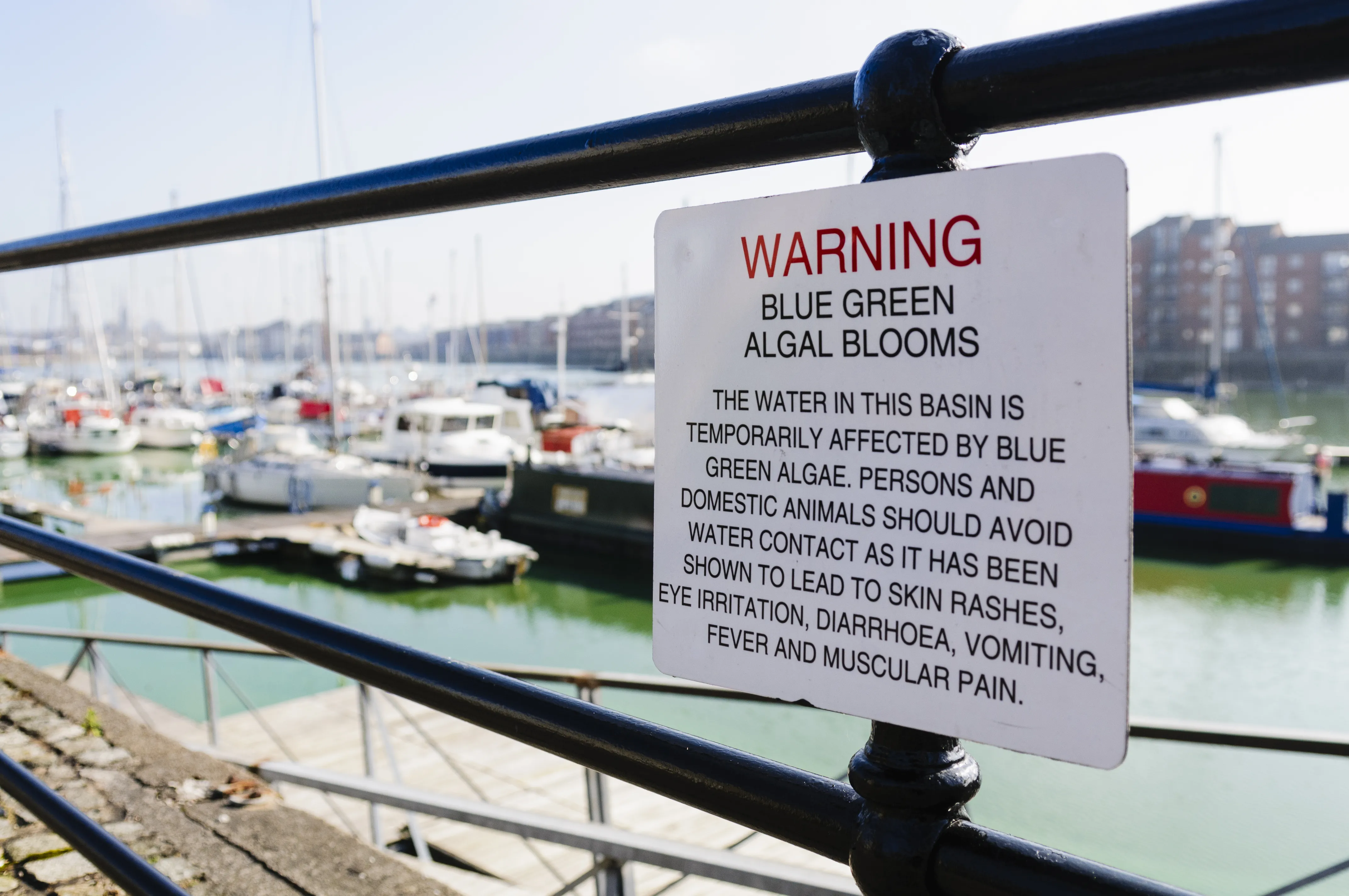 Sign near a body of water with boats warning of the dangers of algal blooms - Stephen Barnes - iStock-1751685698