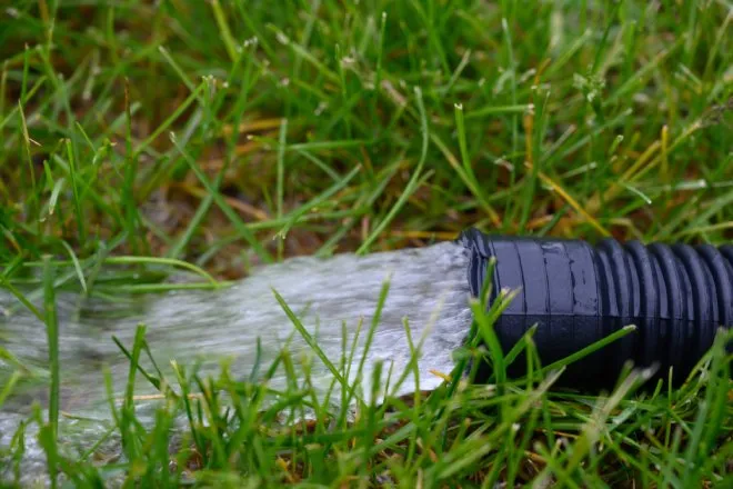 A stream of water shoots out of a black plastic tube onto a patch of yellow and green grass.