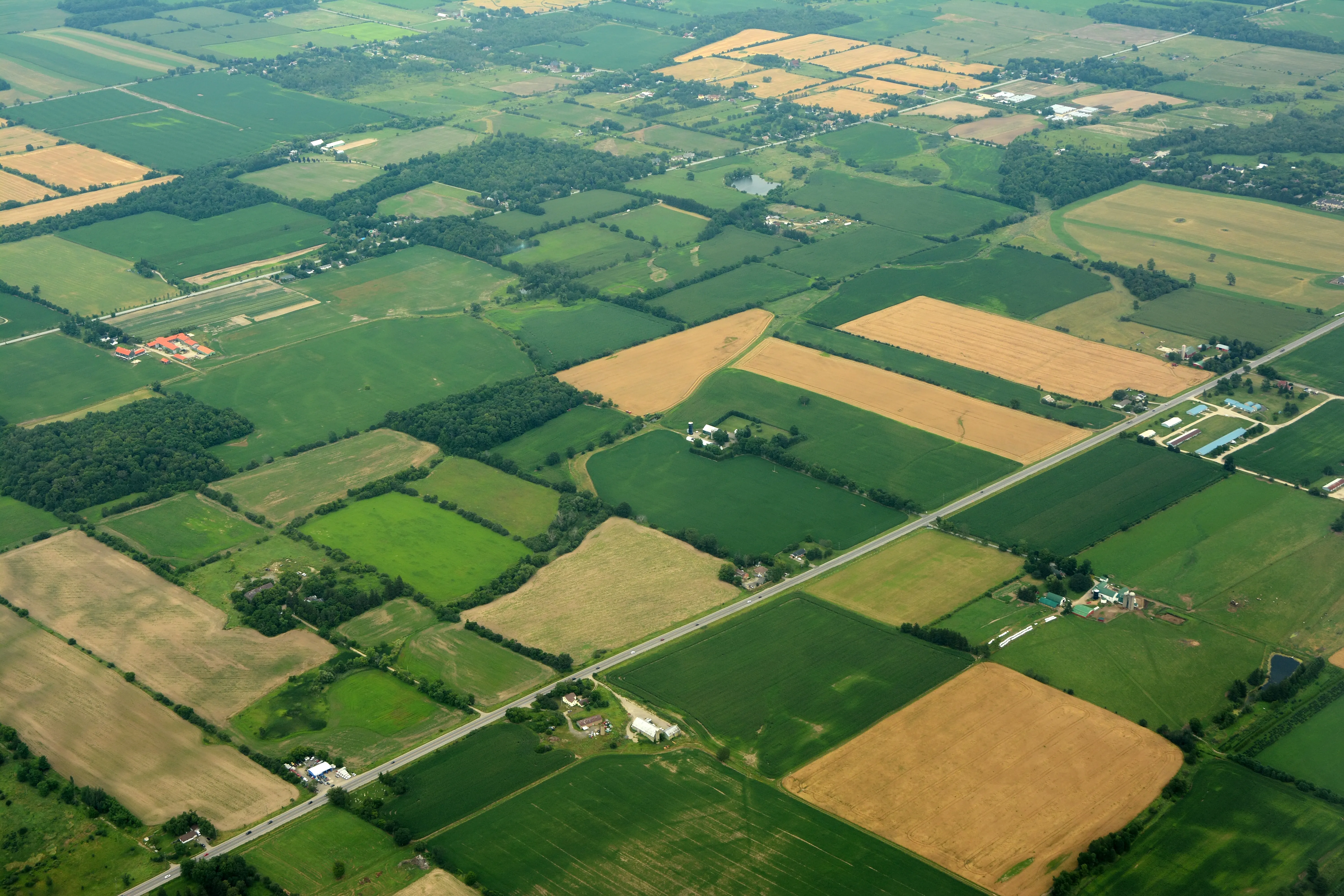 Aerial view of agricultural fields.