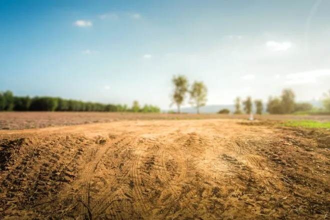 An empty open space of land with dirt and a line of trees in the background. The sky is blue and sunny.