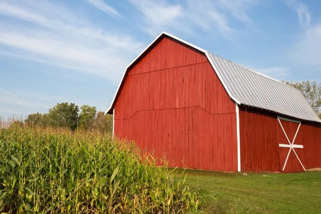 Expert tips for starting a successful hobby farm
