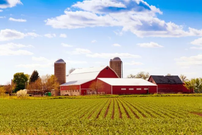 Considerations to take before starting a farm