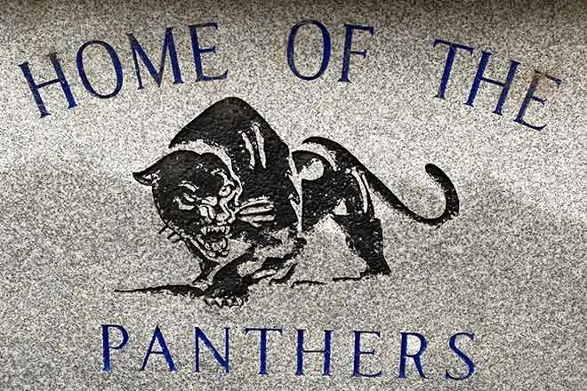 PROMO Miscellaneous - SIgn Wiley Panthers Prowers County