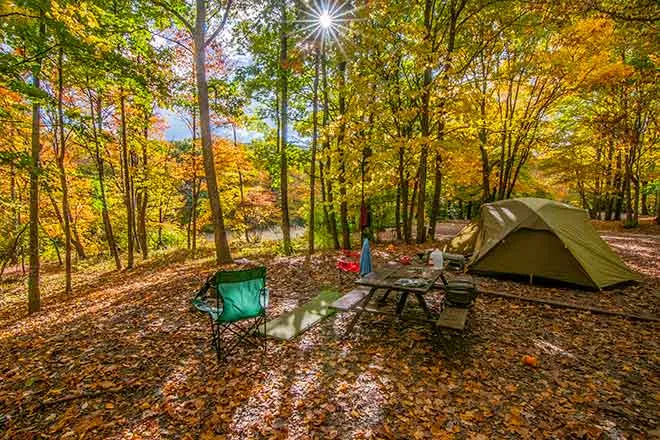 PROMO Outdoors - Camping Tent Trees Forest Recreation - iStock - Matthew H Irvin