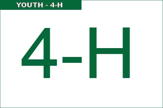 Youth - 4-H