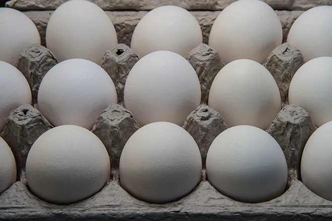 PROMO 660 x 440 Animal - Chicken Eggs Carton - wikimedia